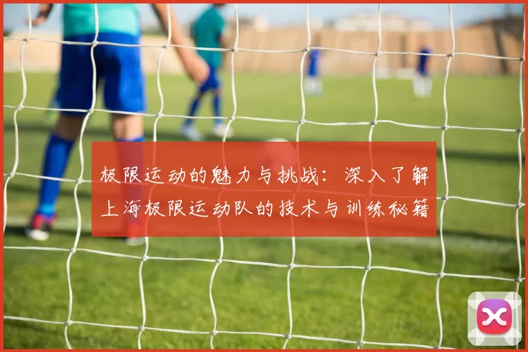 极限运动的魅力与挑战：深入了解上海极限运动队的技术与训练秘籍MBA