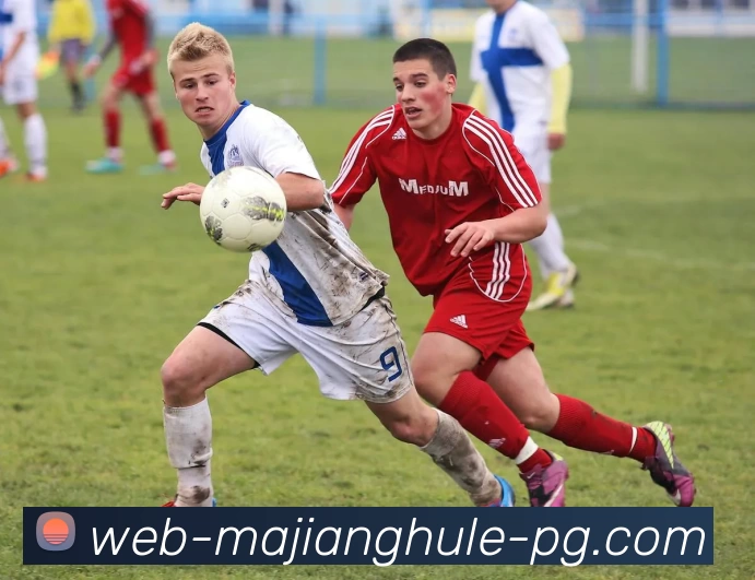 麻将糊了模拟器平台生态图